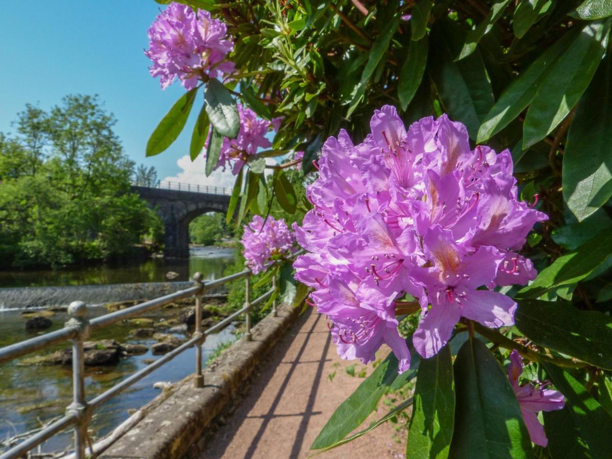 Maisie's Dunblane