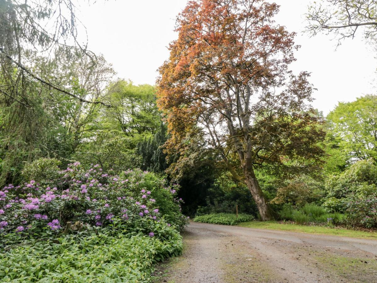 Maisie's Dunblane